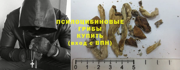 прущие крисы Алексин