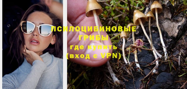 каннабис Алзамай